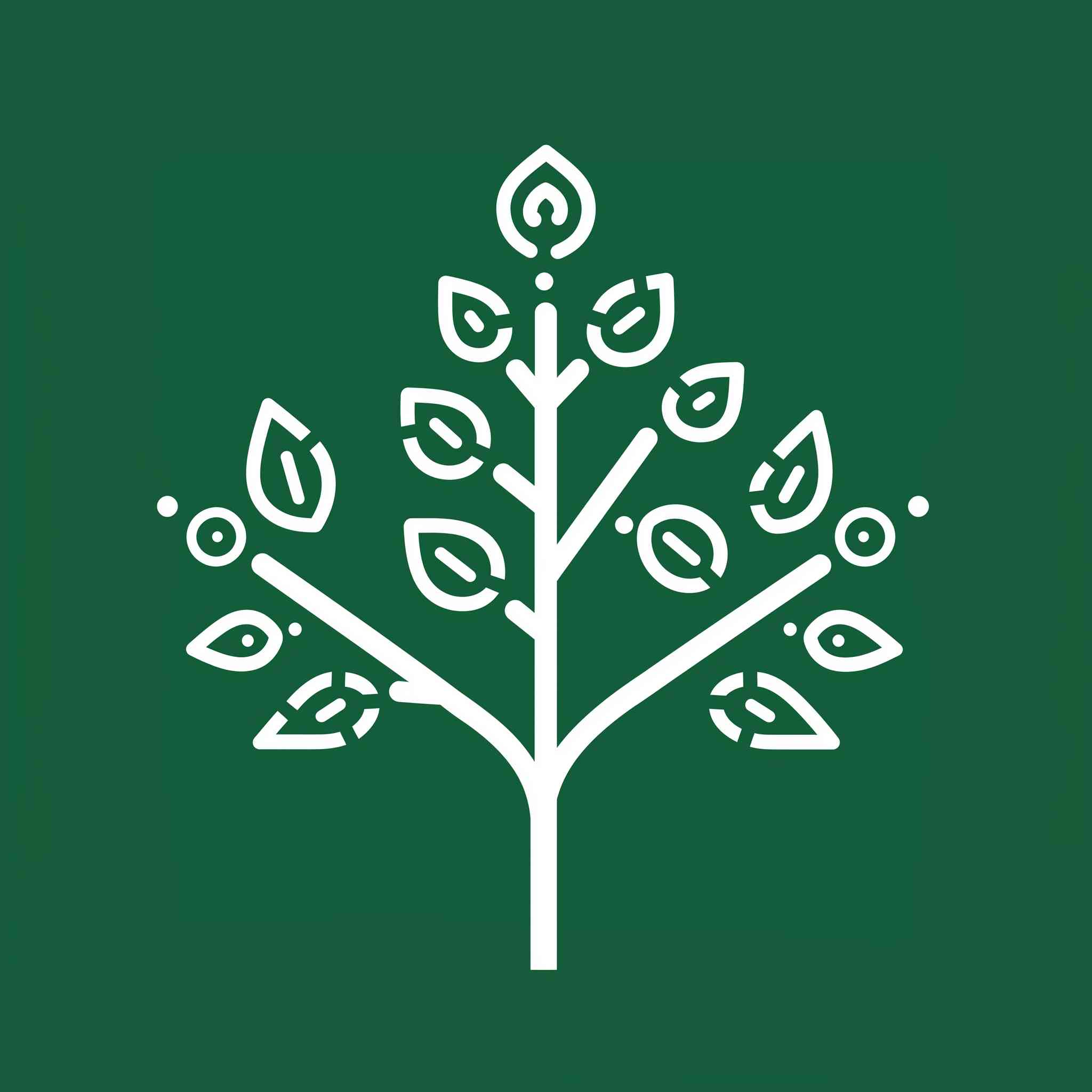Crunchbase Logo