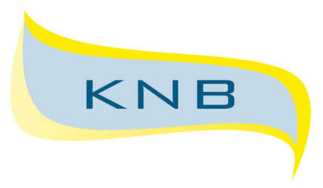 KNB FINANCIAL INC.