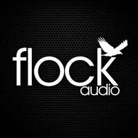 Flock Audio - Crunchbase Company Profile & Funding