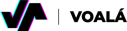 Voalle Group - Crunchbase Company Profile & Funding