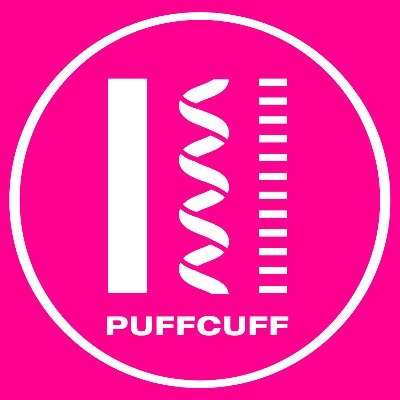 PUFFY - Crunchbase Company Profile & Funding