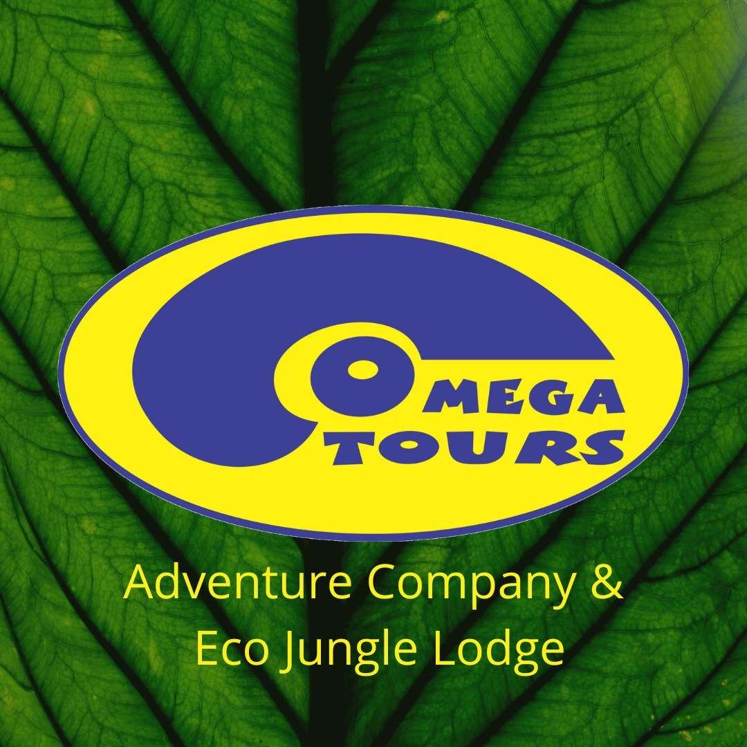 Omega Tours Crunchbase Company Profile Funding