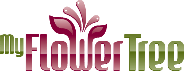 Send Aniversary Gift, Cake, Flowers Online | MyFlowerTree - Crunchbase  Company Profile & Funding