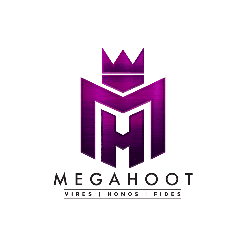 Louis Velazquez - Founder/CEO @ MegaHoot Technologies, Inc - Crunchbase  Person Profile