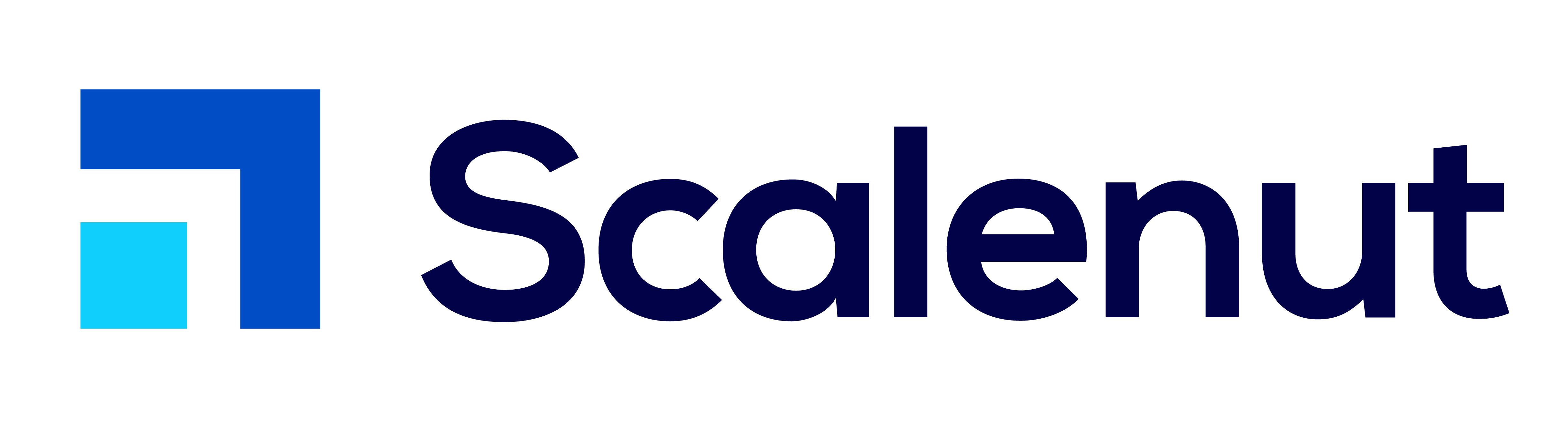 Scalenut - Crunchbase Company Profile & Funding