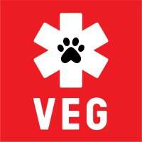 Veterinary Emergency Group Shop – Veterinary Emergency Group Store