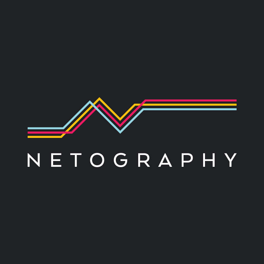 Netography startup company logo