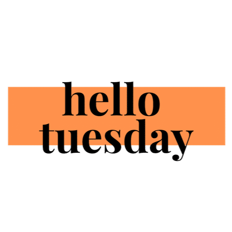 Hello Tuesday - Crunchbase Company Profile & Funding