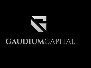 Gaudium, Inc. - Company Profile