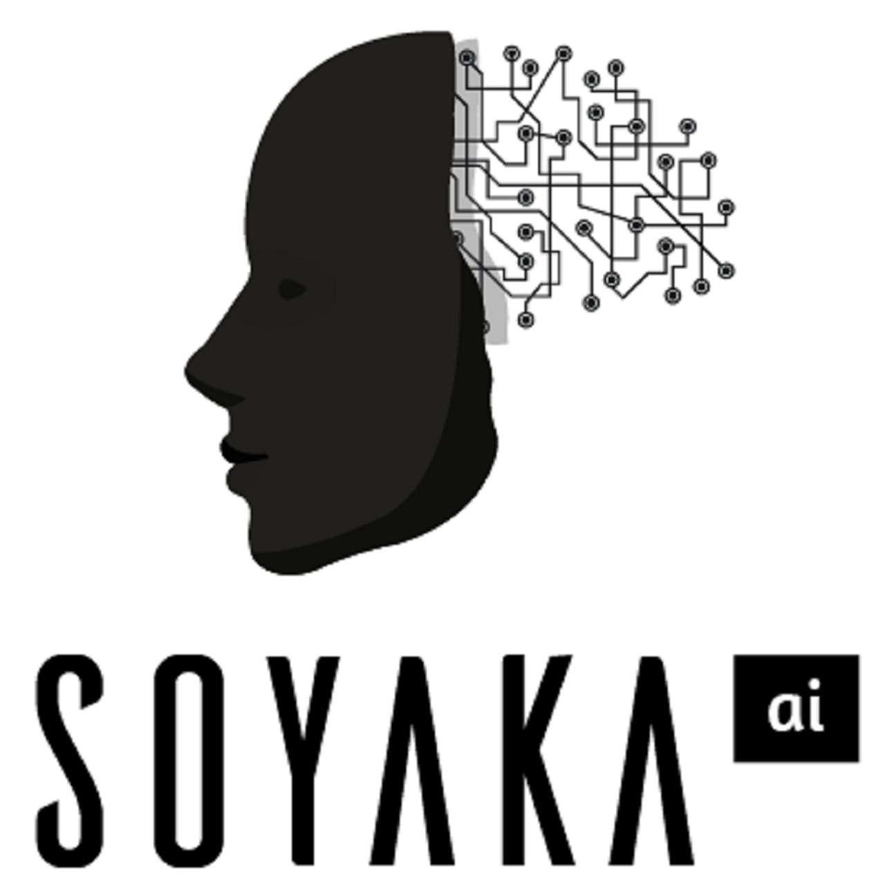 SOYAKA Artificial Intelligence Science and Technology Co Ltd - Crunchbase  Company Profile & Funding