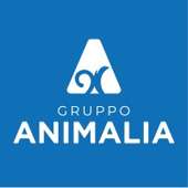 Gruppo Animalia