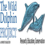 Wild Dolphin Project – 40th Anniversary Celebration Gala