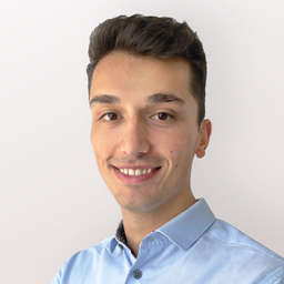 Fabio Cortesi Crunchbase Person Profile