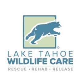 Lake Tahoe Wildlife Care