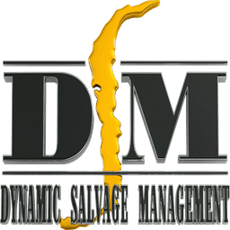 DSM - Dynamic Salvage Management