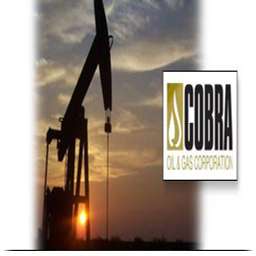 COBRA OIL & GAS CORPORATION - Crunchbase Company Profile & Funding