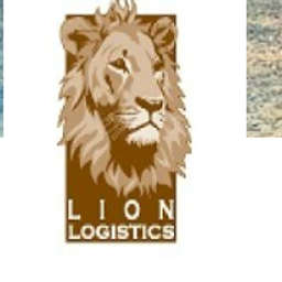 Lion Logistics - Crunchbase Company Profile & Funding