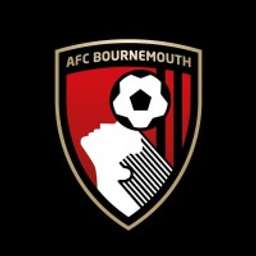 afc bournemouth football club