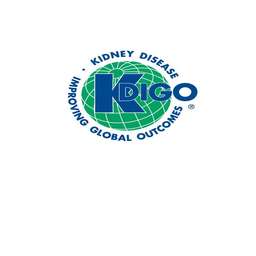 KDIGO - Crunchbase Company Profile & Funding