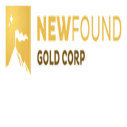 Homepage - New Found Gold Corp.