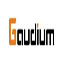 Gaudium, Inc. - Company Profile
