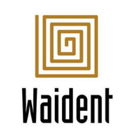 Waident Technology Solutions