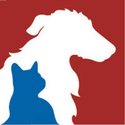 Red Dog Blue Kat - Crunchbase Company Profile & Funding