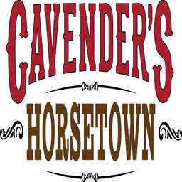 Horsetown boots 2024