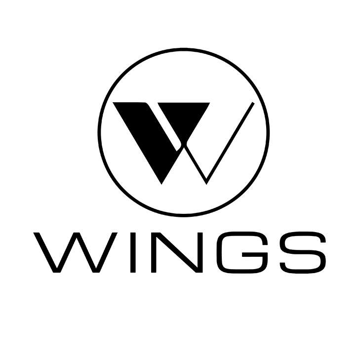 Wings best sale headphones company