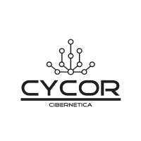 Michele de Souza Founder CEO Cycor Cibern tica Crunchbase