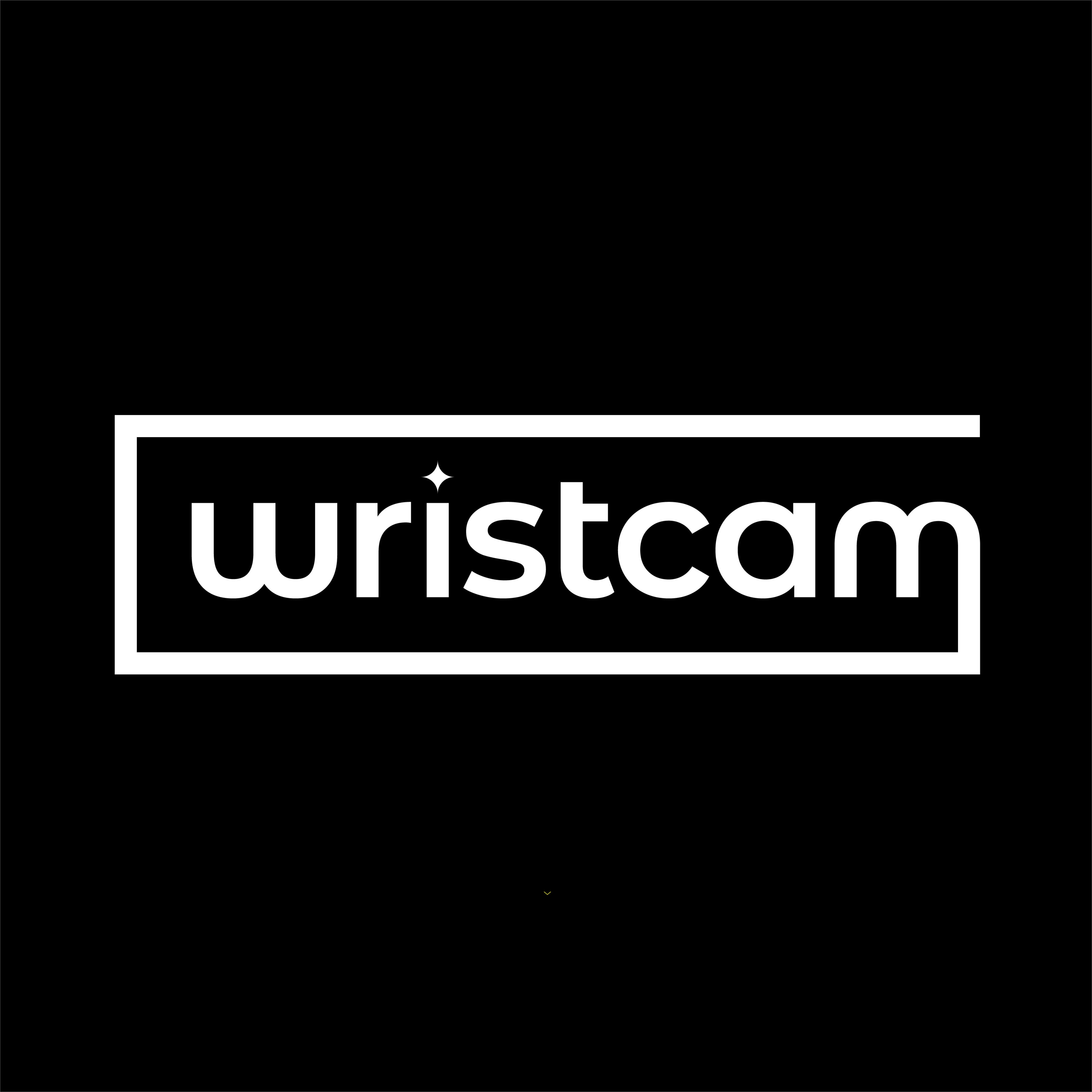 Wristcam stock discount