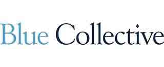 Picture of Blue Collective LLC