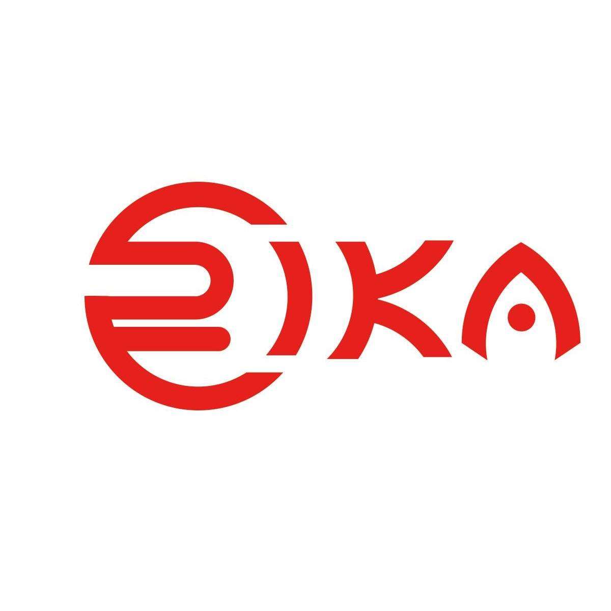 Rika Sensor - Crunchbase Company Profile & Funding