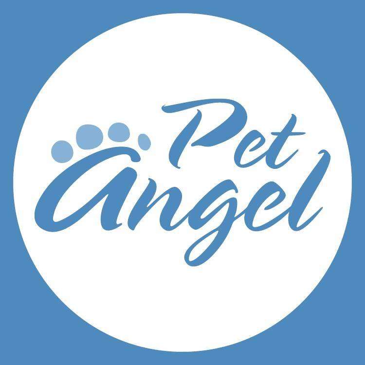 Pet angel sale cremation prices