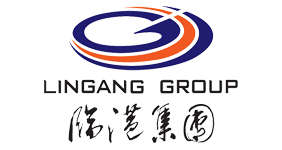 Shanghai Gov & Lingang Group