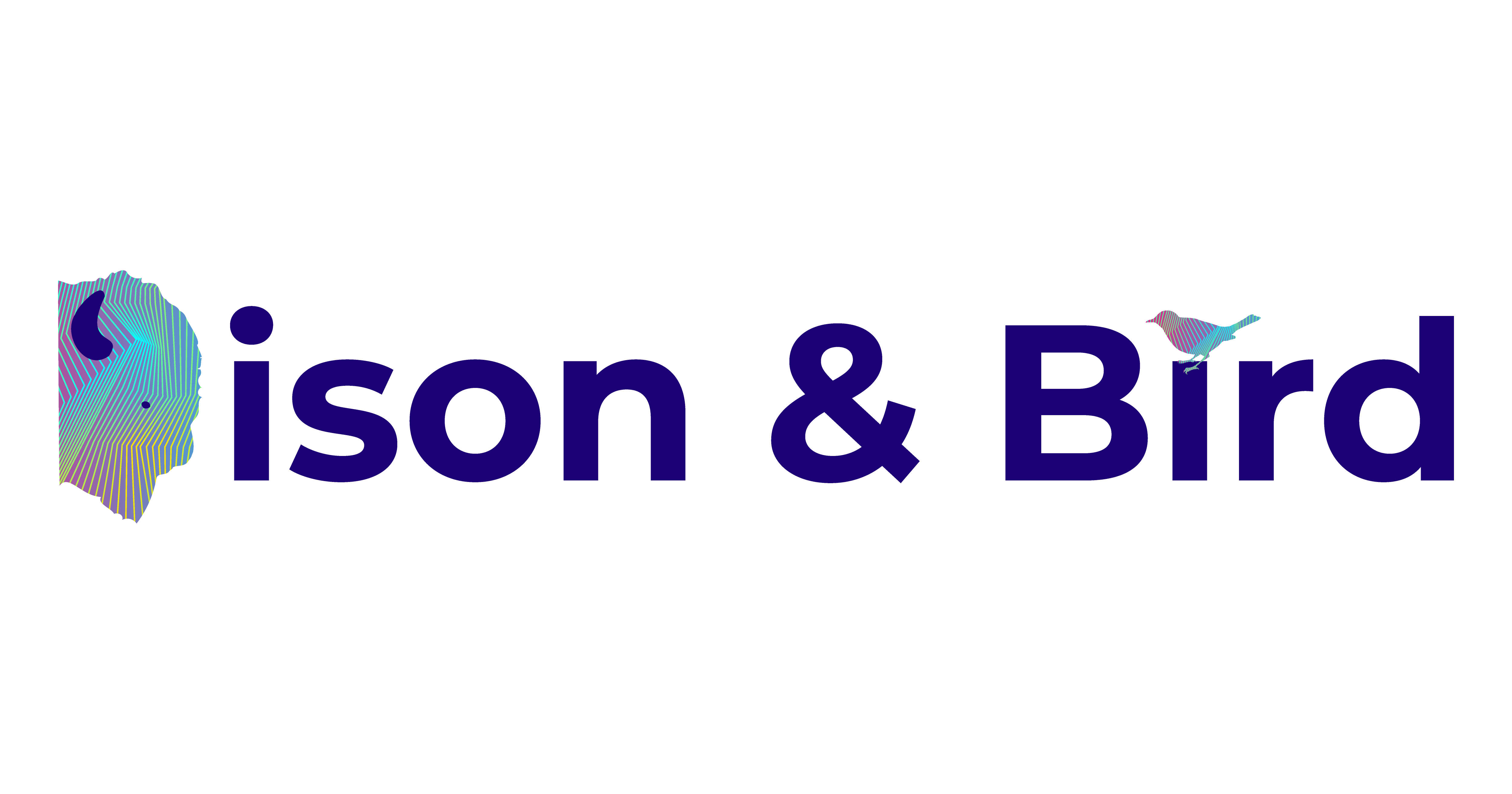 Bison Bird Crunchbase Company Profile Funding