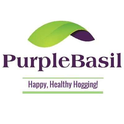 PurpleBasil Crunchbase Company Profile Funding