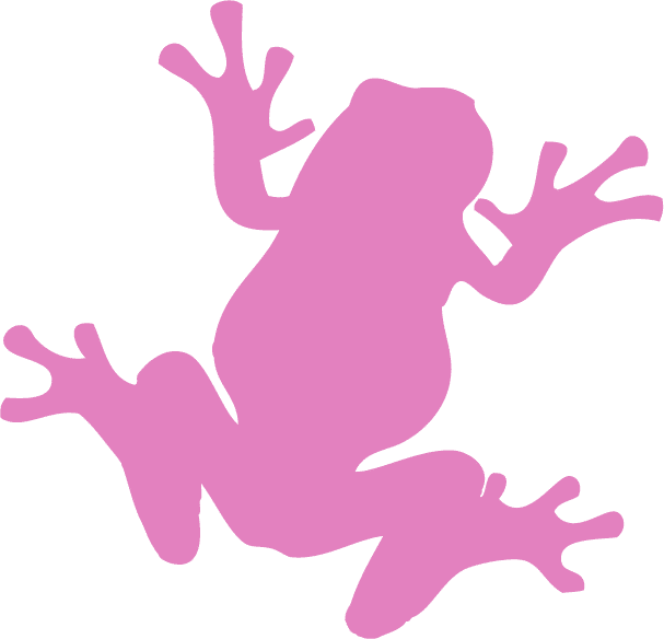 Pink Frog Interactive, Inc. - Crunchbase Company Profile & Funding