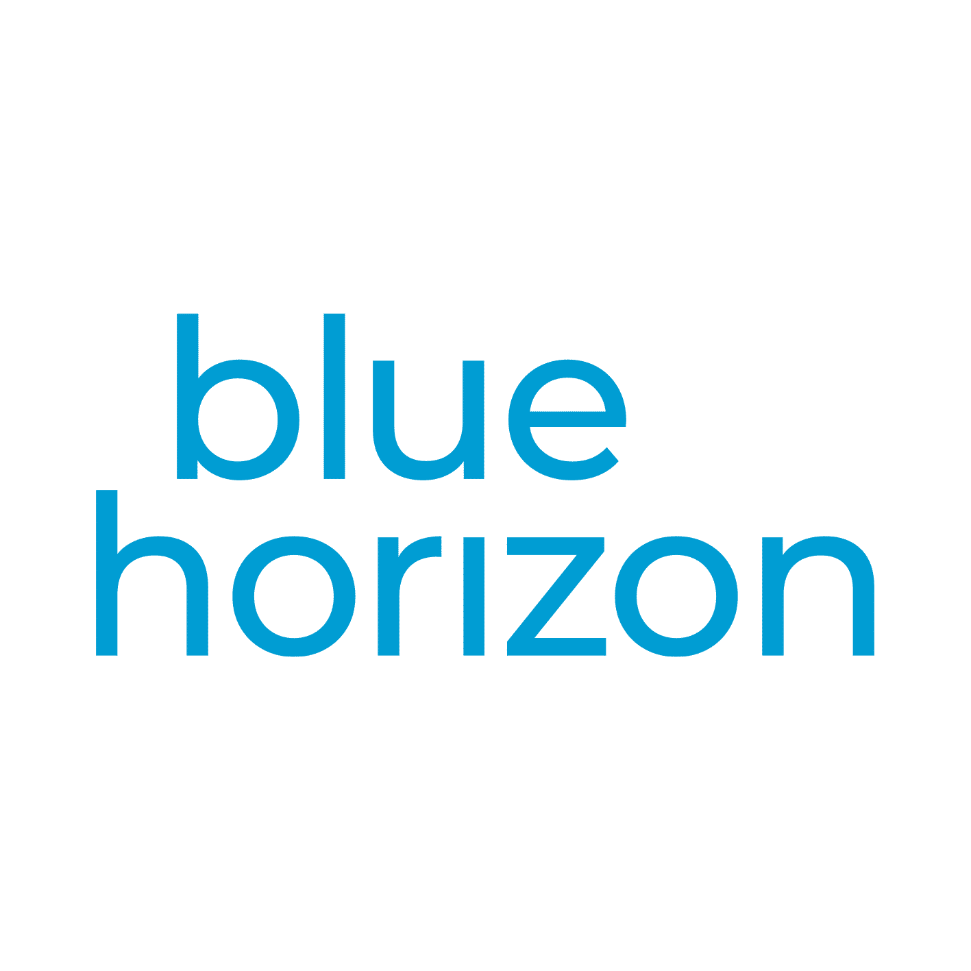Blue Horizon Corporation - Crunchbase Company Profile & Funding
