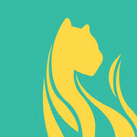 Lioness - Crunchbase Company Profile & Funding