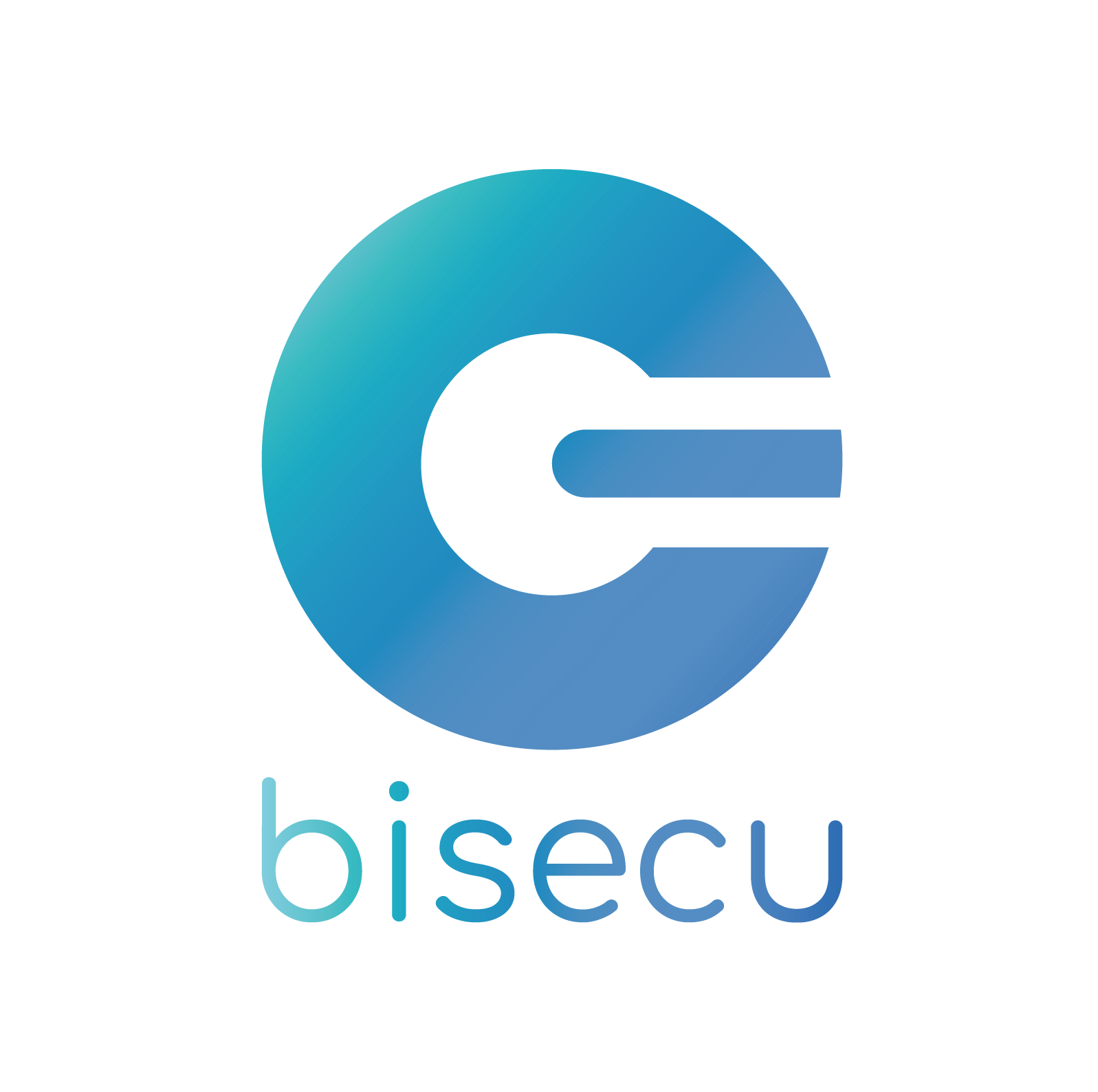 Bisecu Crunchbase Company Profile Funding