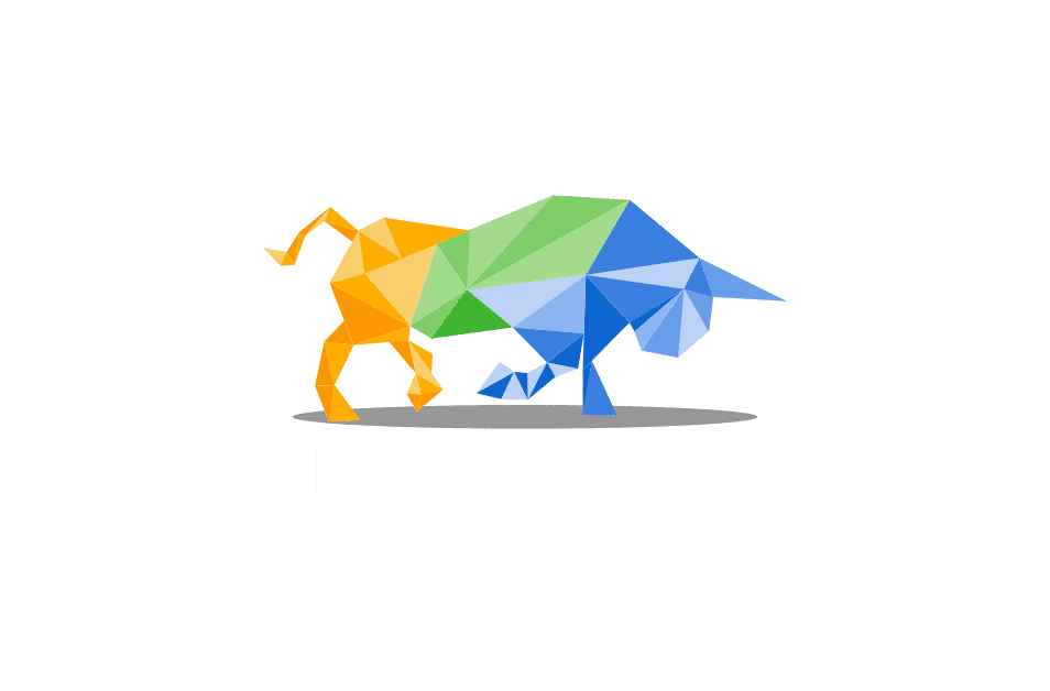 Brahmin company new arrivals