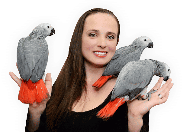 Ana's parrots and supplies hotsell