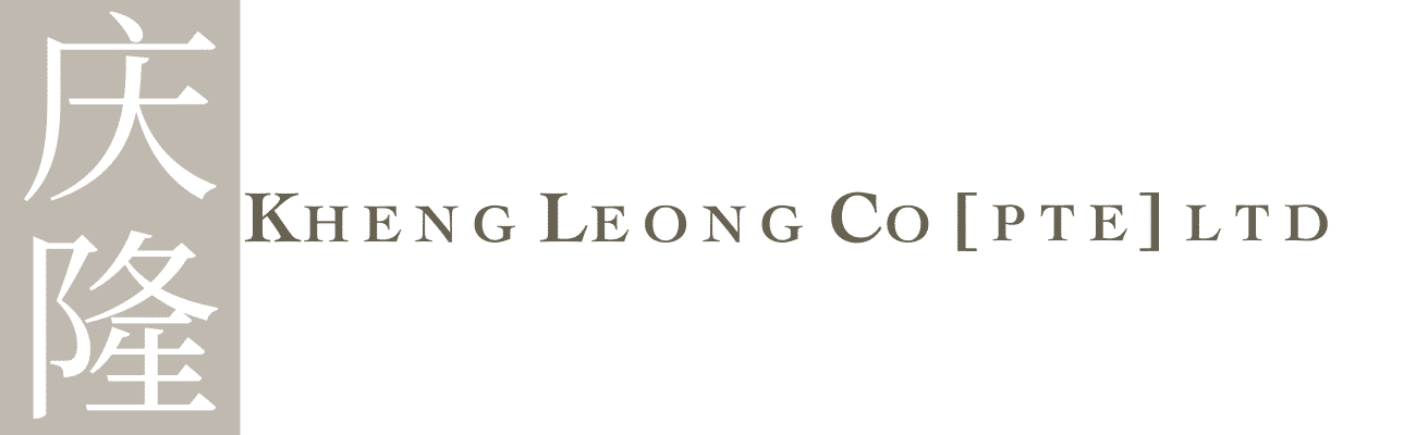 Developer Logo