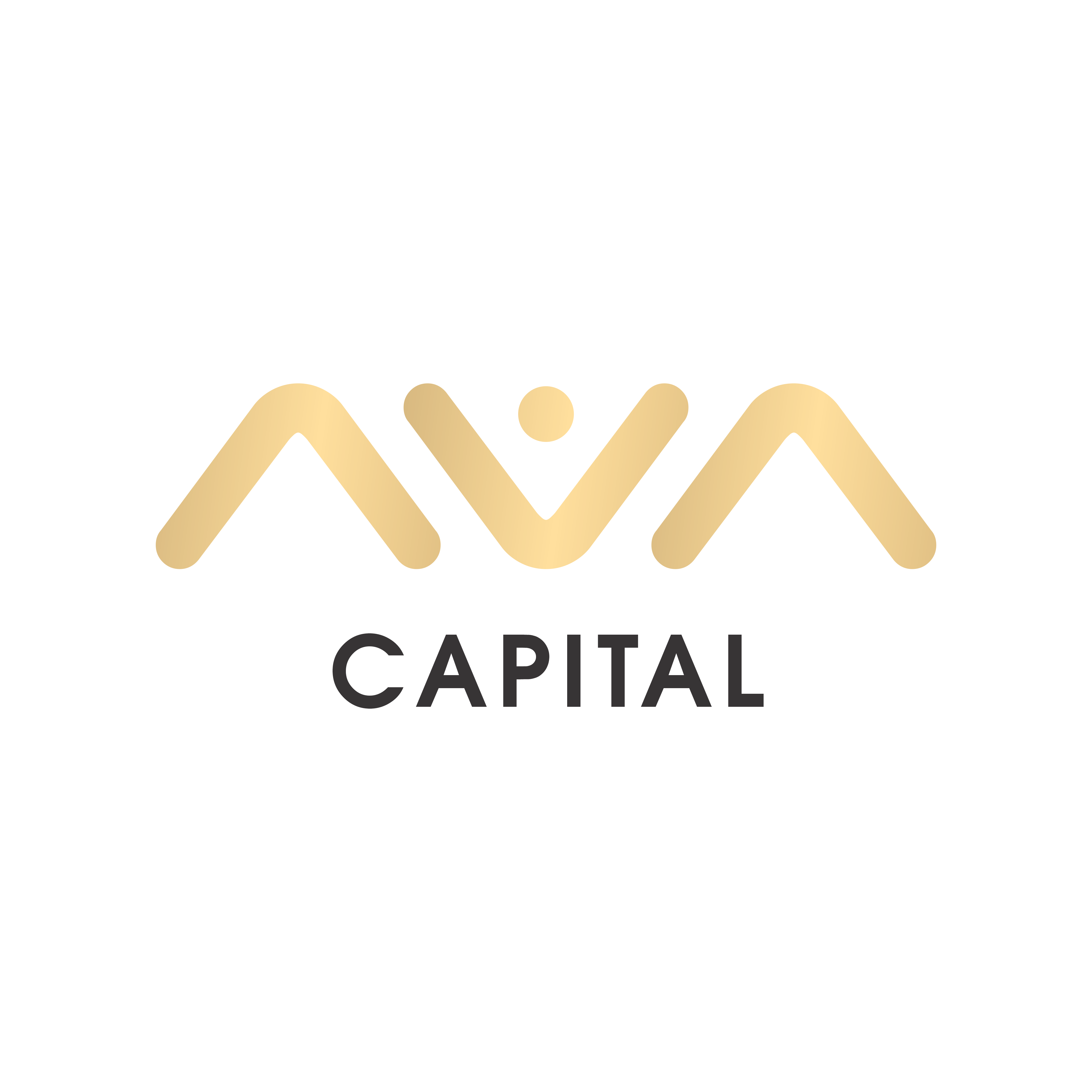 AVA Capital