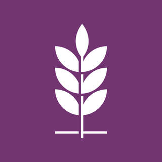 Binar Academy