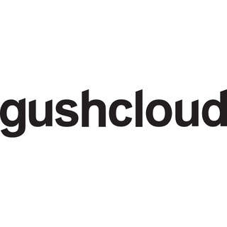 Gushcloud International