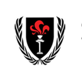 Strategy First Institute