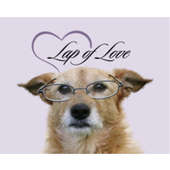 Lap of love veterinary hospice