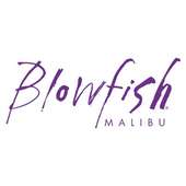 Blowfish Malibu Crunchbase Company Profile Funding